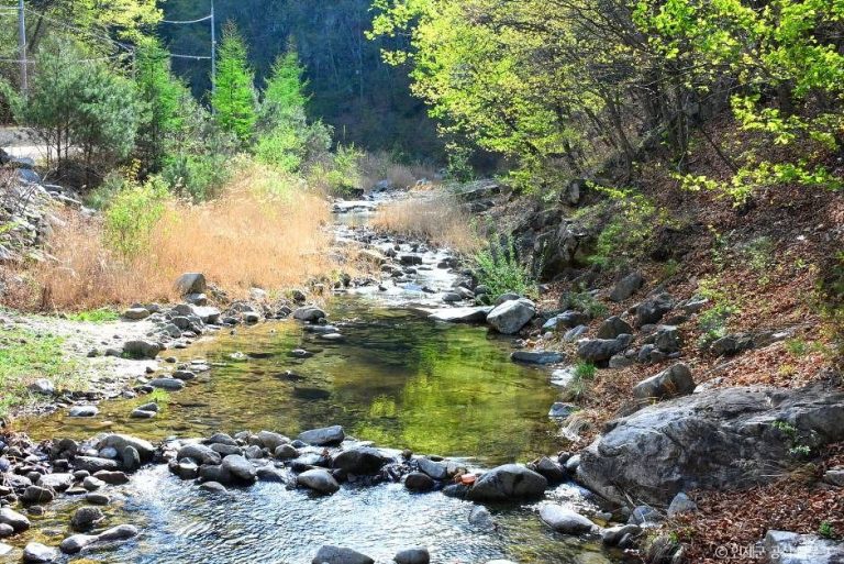 [강원] 동아실계곡