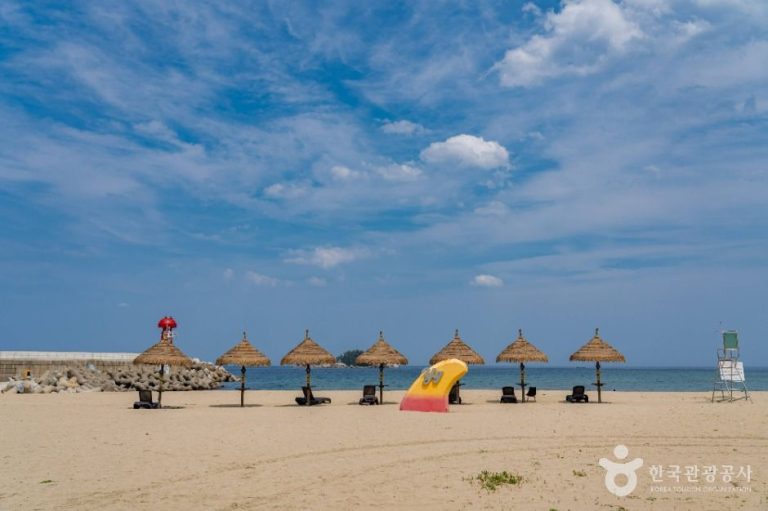 [강원] 기사문해수욕장