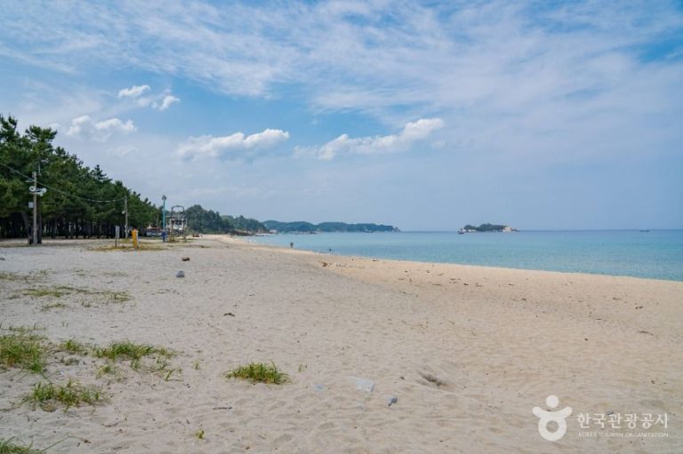 [강원] 잔교리해수욕장