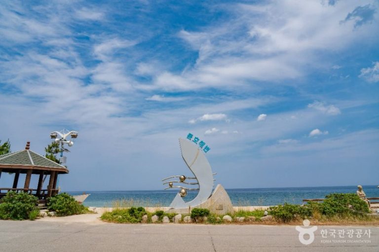 [강원] 동호해변(양양)