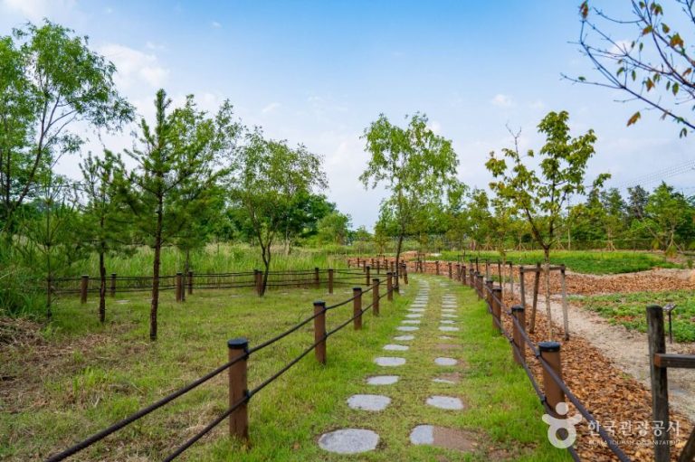 [강원] 영랑호 습지생태공원