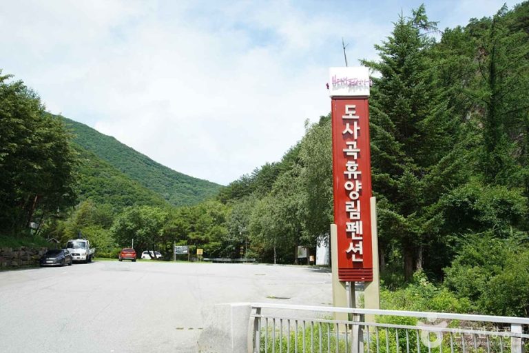 [강원] 도사곡휴양림