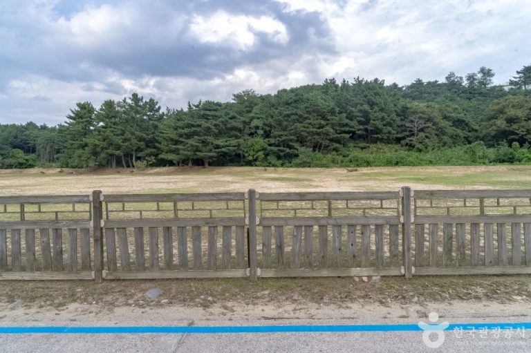 [강원] 고성 문암리 유적