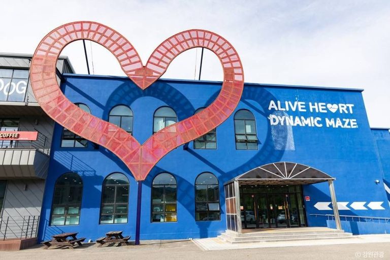 [강원] 속초 얼라이브 하트(Alive Heart)