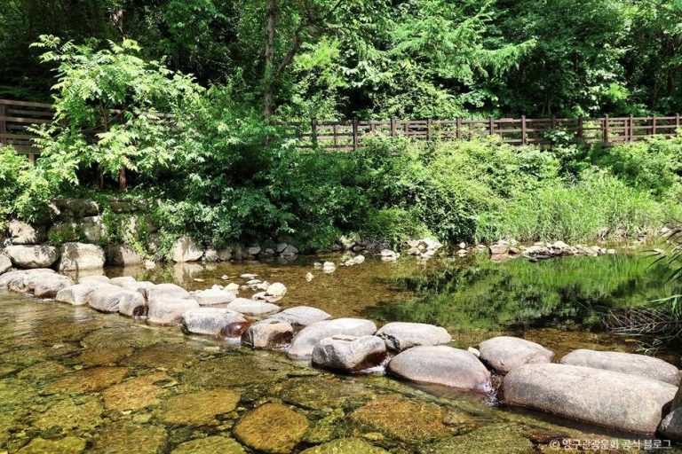 [강원] 광치계곡