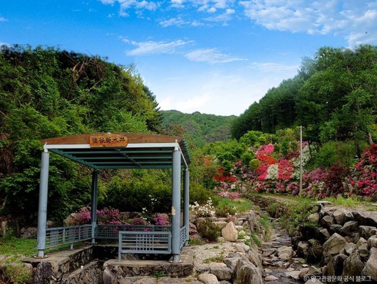 [강원] 후곡약수터