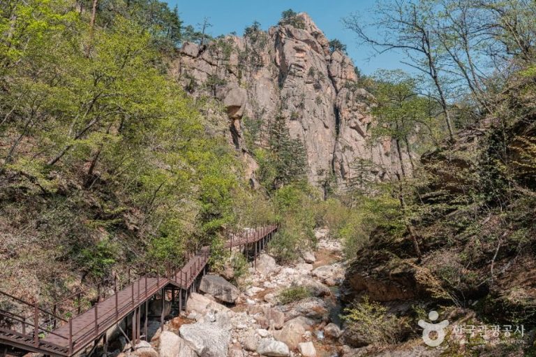 [강원] 설악산국립공원(남설악)