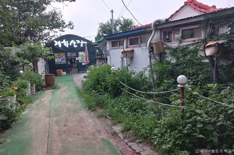 [서울] 개화산장