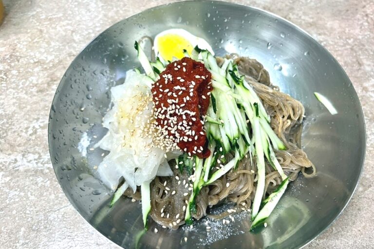 [서울] 할머니냉면