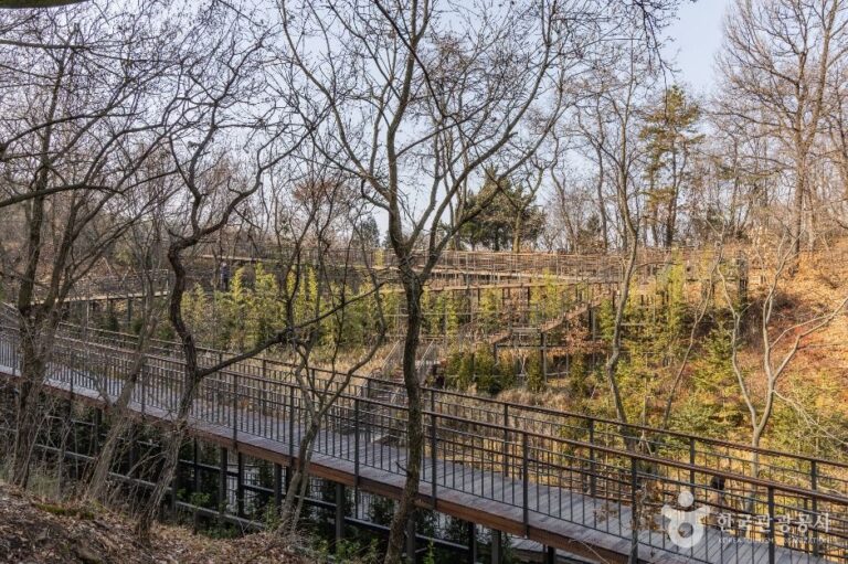 [서울] 대모산도시자연공원