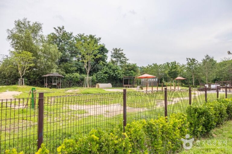 [인천] 인천대공원 반려동물 놀이터