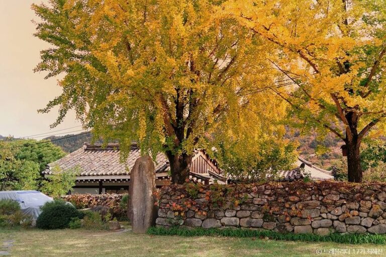 [대구] 한밤마을