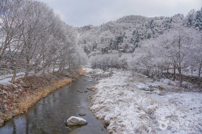 [경기] 명달리계곡