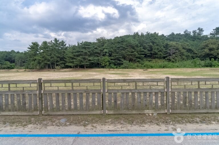 [강원] 고성 문암리 유적