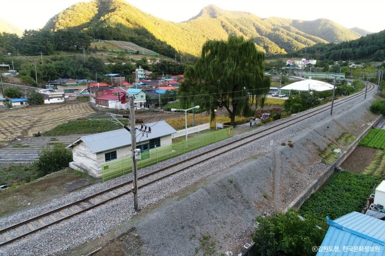 [강원] 하고사리역