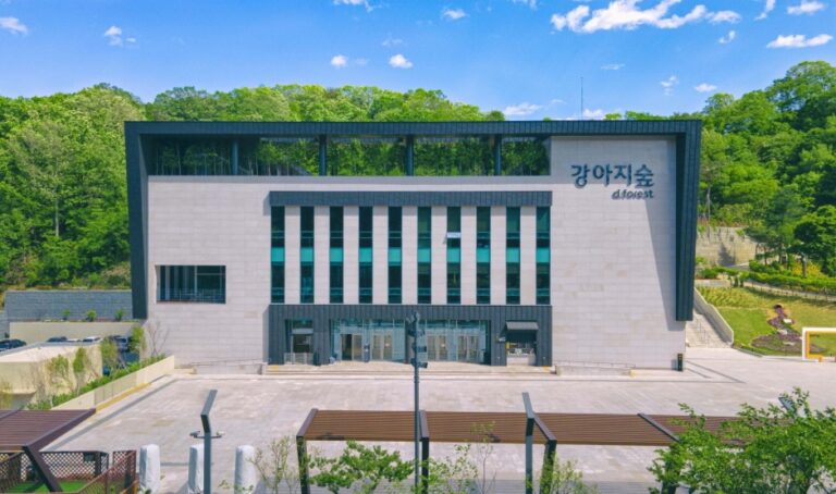 [강원] 강아지숲