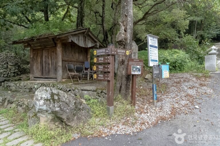 [강원] 김삿갓 묘역