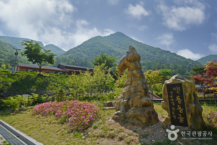 [강원] 백룡동굴 (강원고생대 국가지질공원)