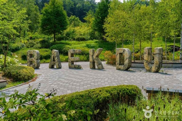 [강원] 백두대간 생태수목원