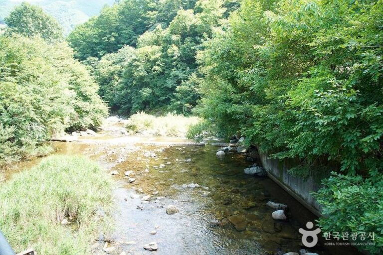 [강원] 지암계곡