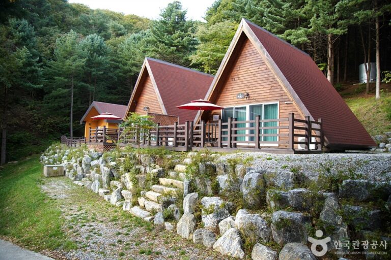 [강원] 치악산자연휴양림