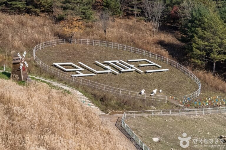 [강원] 알파카골드팜