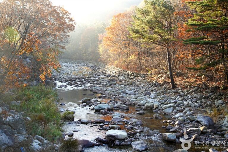 [강원] 미시령계곡