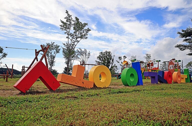 [강원] 양양송이조각공원