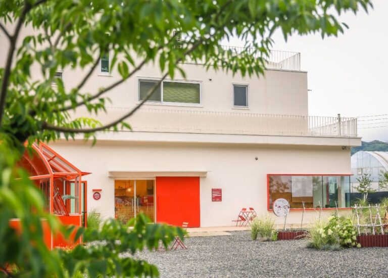 [강원] 그래도팜