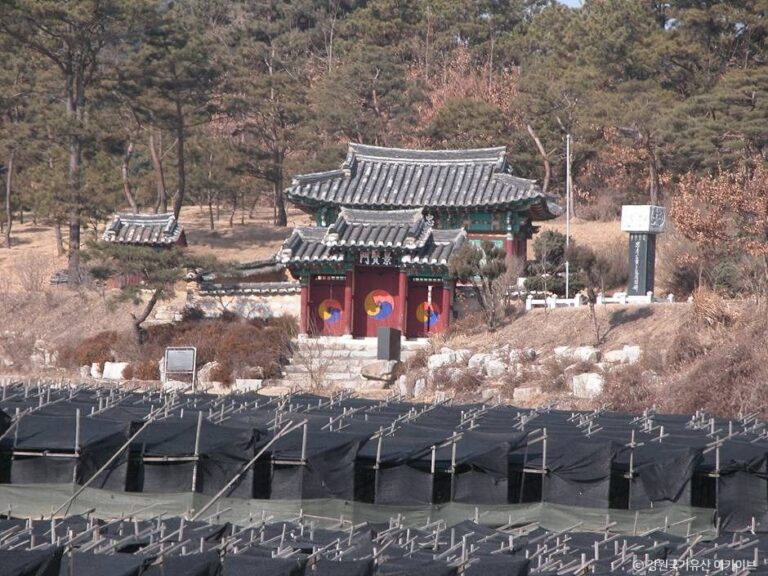 [강원] 황무진충효사