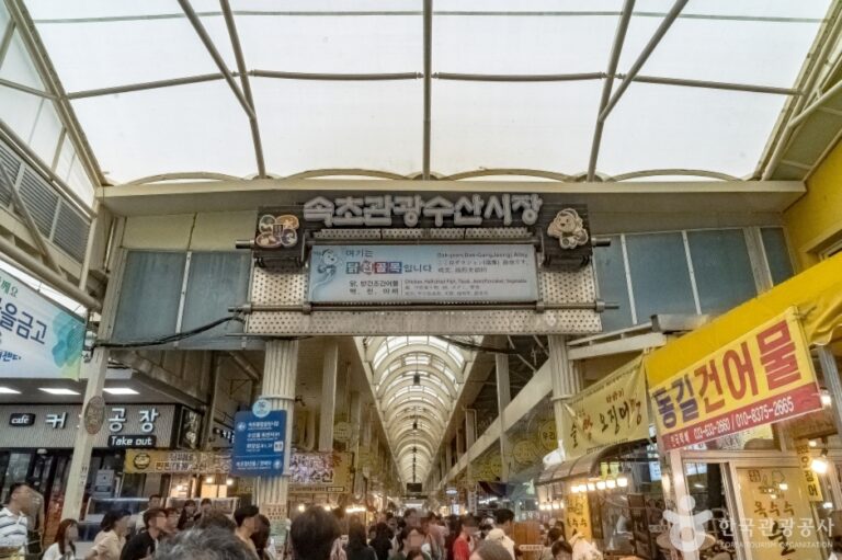 [강원] 닭전 골목