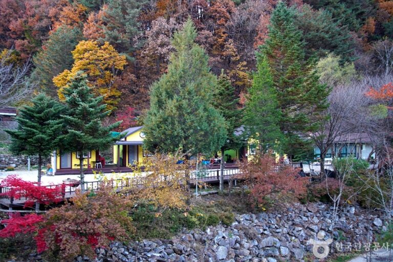 [강원] 홍천 살둔마을