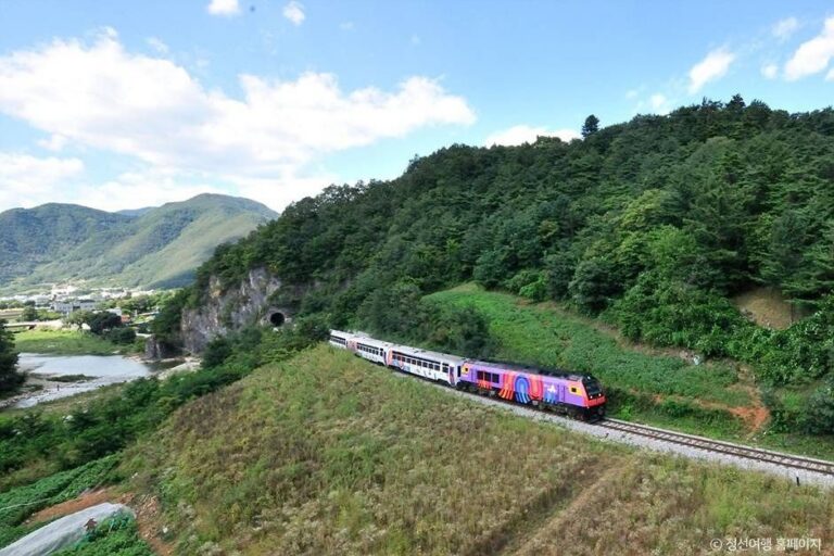 [강원] 정선아리랑열차(A-train)