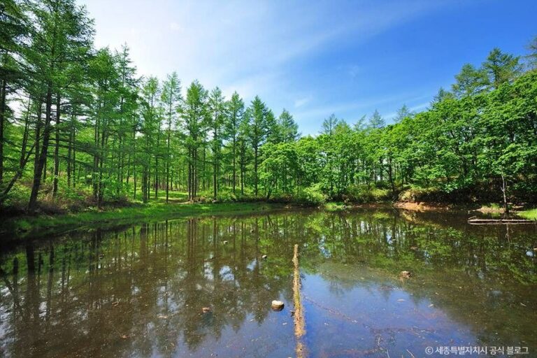 [강원] 도롱이연못