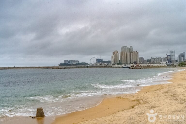[강원] 간이해변