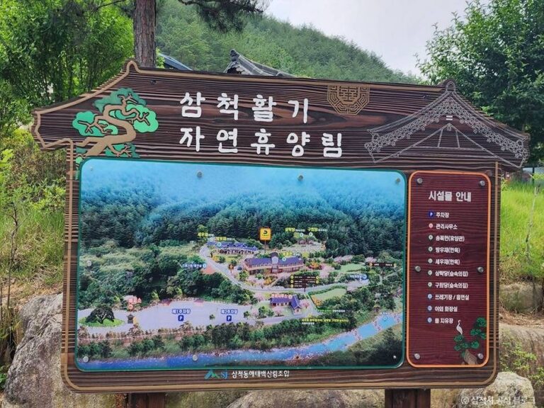 [강원] 삼척활기자연휴양림