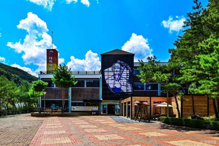 [강원] 태백체험공원