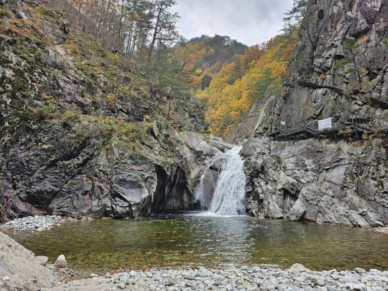 [강원] 덕풍계곡