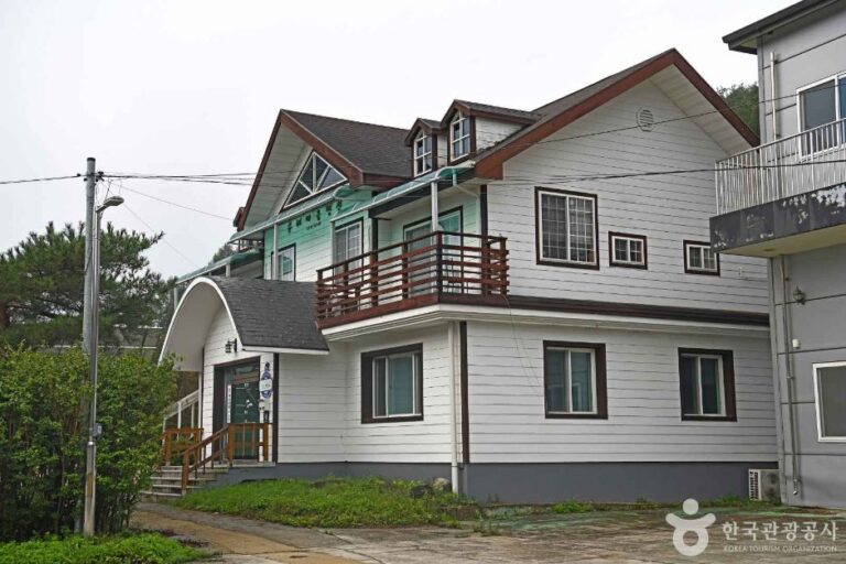 [강원] 고랭지만두마을