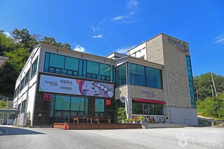 [강원] 차맛체험관
