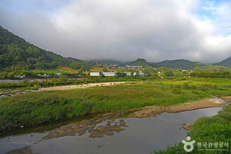 [강원] 배두둑호박넝쿨마을