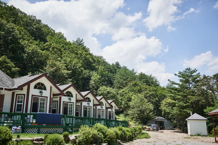 [강원] 수림대마을