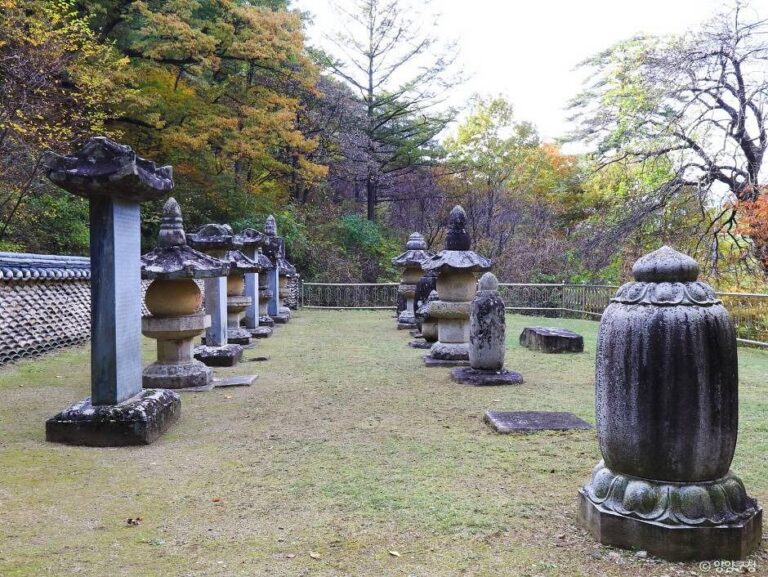 [강원] 명주사부도군