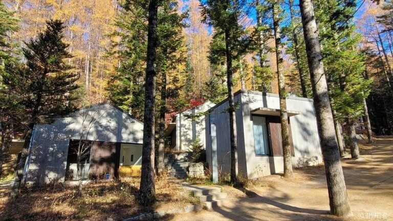 [강원] 밀브릿지