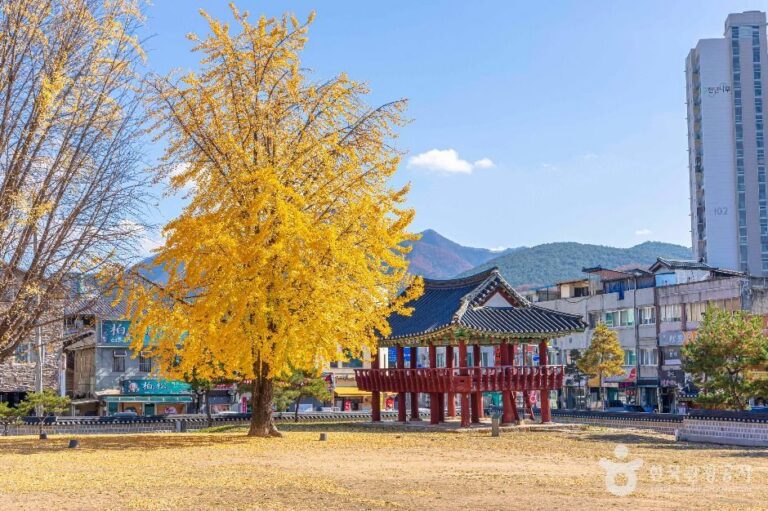 [강원] 자규루 및 관풍헌