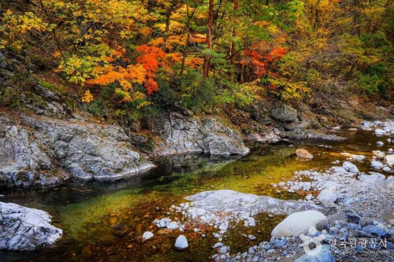 [강원] 미천골계곡