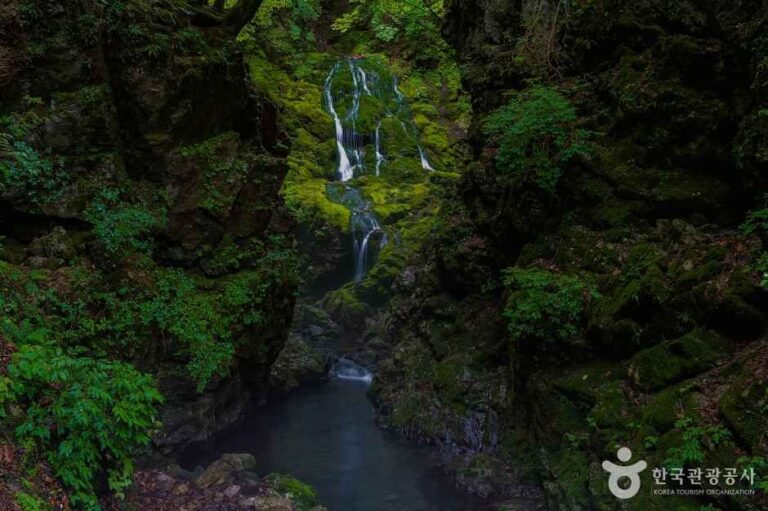 [강원] 이끼폭포