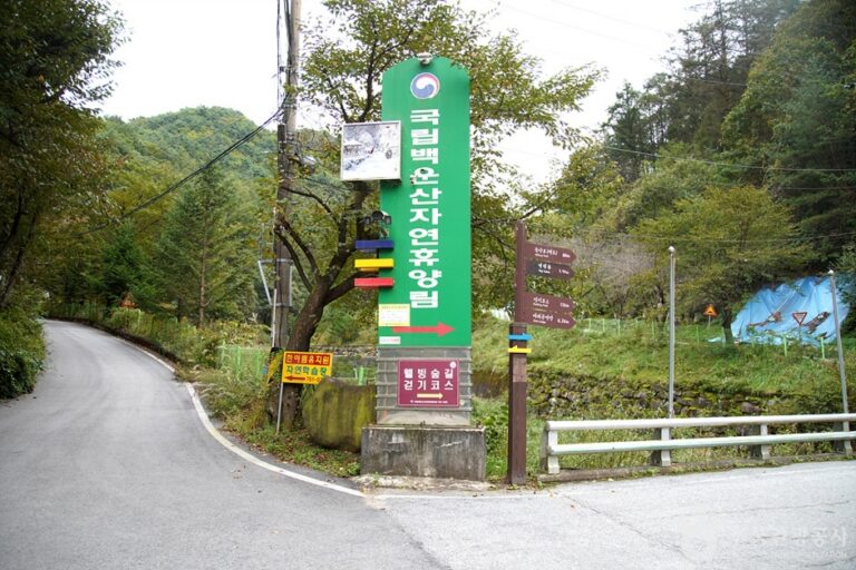 [강원] 국립 백운산자연휴양림(원주)