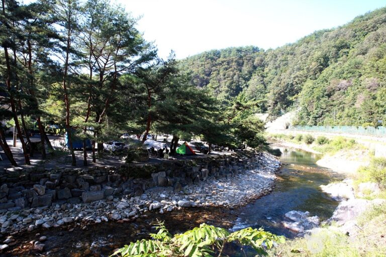 [강원] 법흥계곡