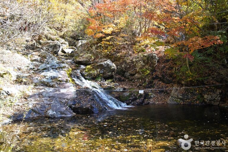 [강원] 국립 복주산자연휴양림